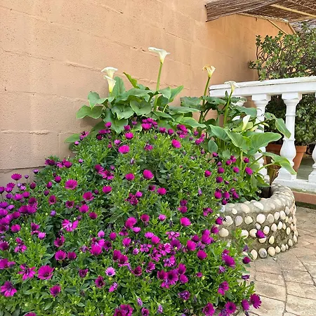 Apartment Aguacate Chiclana de la Frontera
